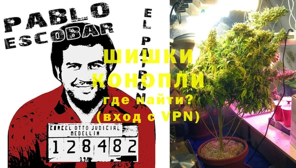 эйфоретик Гусь-Хрустальный