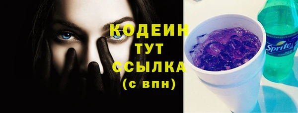 эйфоретик Гусь-Хрустальный