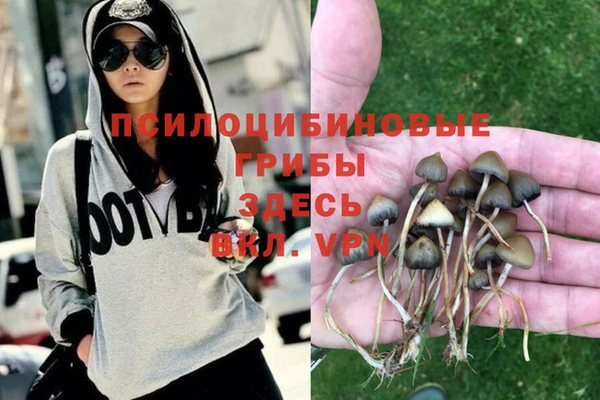 эйфоретик Гусь-Хрустальный