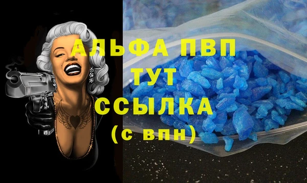 эйфоретик Гусь-Хрустальный