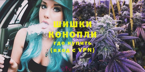 эйфоретик Гусь-Хрустальный