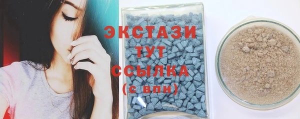 эйфоретик Гусь-Хрустальный