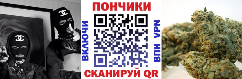 Бошки Шишки сатива  hydra   Дорогобуж 